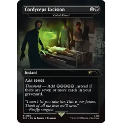 Secret Lair x The Last Of Us: Part I - Magic: The Gathering (non foil)