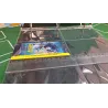 Strona do segregatora na Booster Packs (6) - Clear - Tokens4MTG
